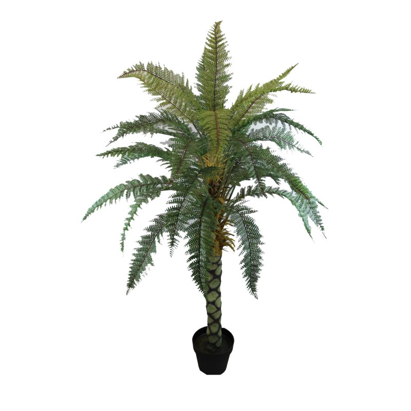 Boston Fern Plant - 150 cm