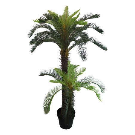 Cycas Palm Tree - 130 cm