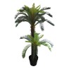 Palmera Cycas - 130 cm