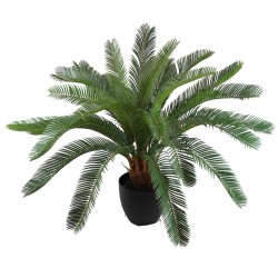 Palmera Cycas con macetero - 65 cm