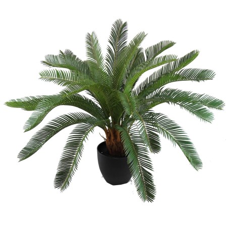 Cycas palm tree with pot - 65 cm