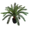 Palmera Cycas con macetero - 65 cm