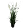 Reed Plant - 115 cm