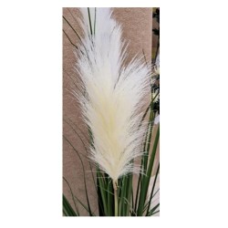 Reed Plant - 115 cm