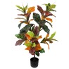 Croton Plant - 110 cm