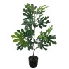 Fig Plant - 89 cm