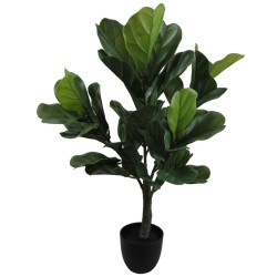 Planta Ficus - 66 cm