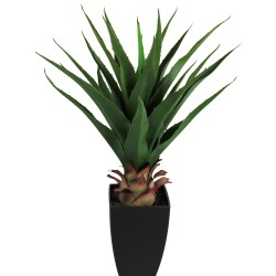 Planta Aloe Vera con Macetero - 75 cm