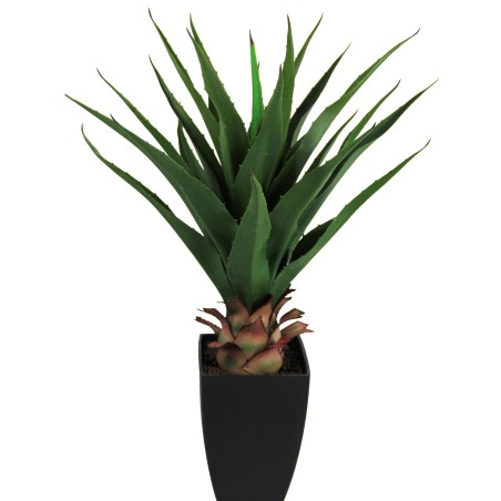 Planta Aloe Vera con Macetero - 75 cm