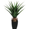 Aloe Vera Plant with Pot - 75 cm