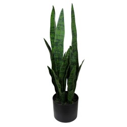 Planta Sansiviera - 64 cm