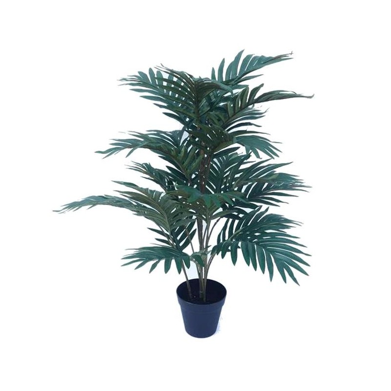 Palmera Fenix con macetero - 70 cm