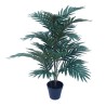 Palmera Fenix con macetero - 70 cm