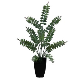 Ruscus Plant - 56 cm