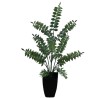 Ruscus Plant - 56 cm