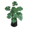 Mostera Plant with Pot - 45 cm