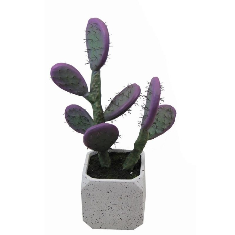 Captus Prickly Pear Malva Pot - 40 cm