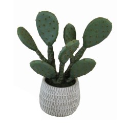 Captus Prickly Pear Pot - 33 cm