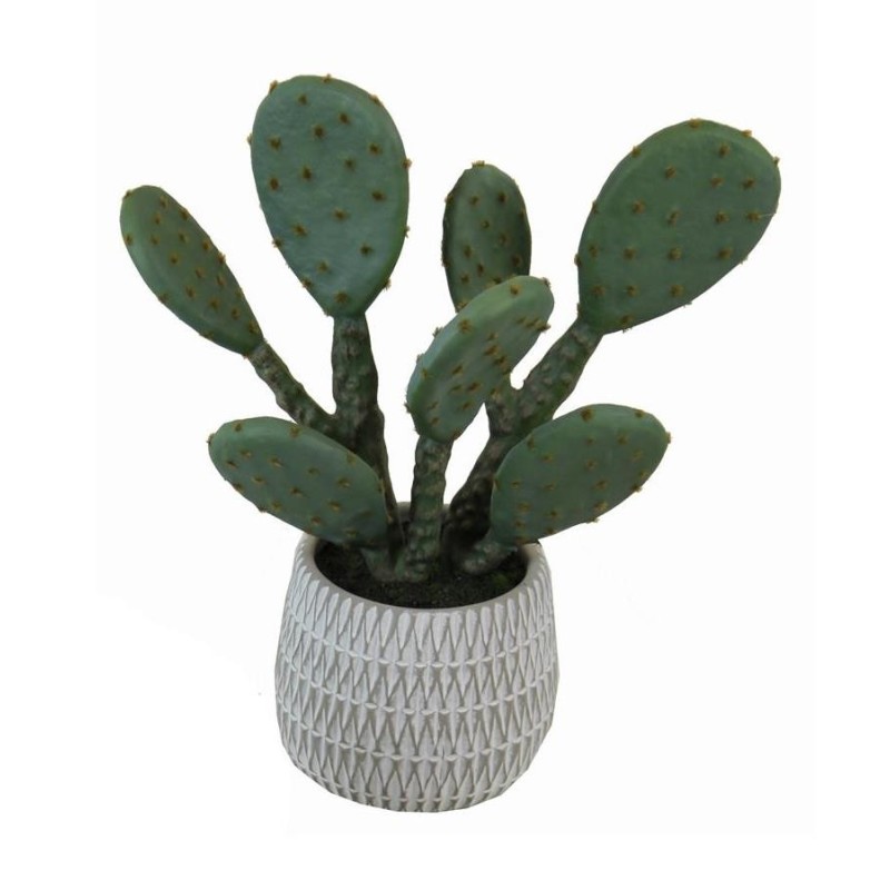 Captus Prickly Pear Pot - 33 cm