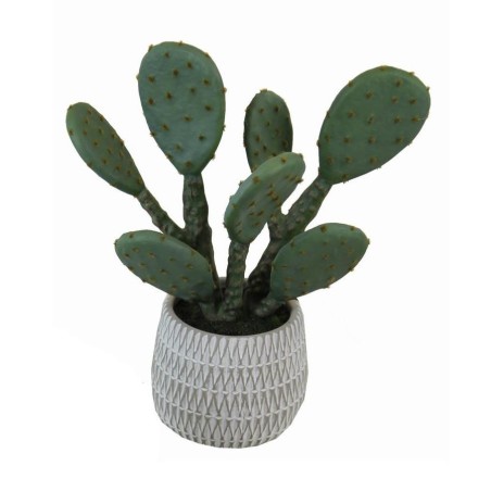 Captus Prickly Pear Pot - 33 cm