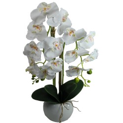 Orchid Pot - 70 cm