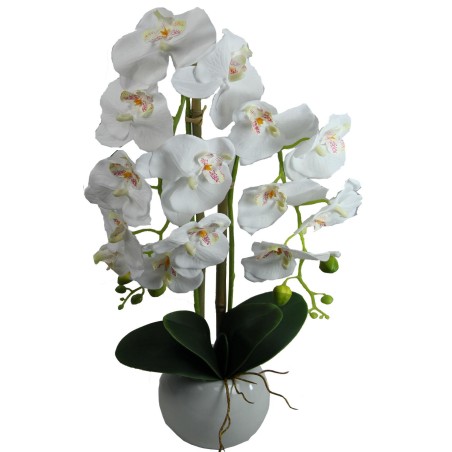 Maceta Orquideas - 70 cm