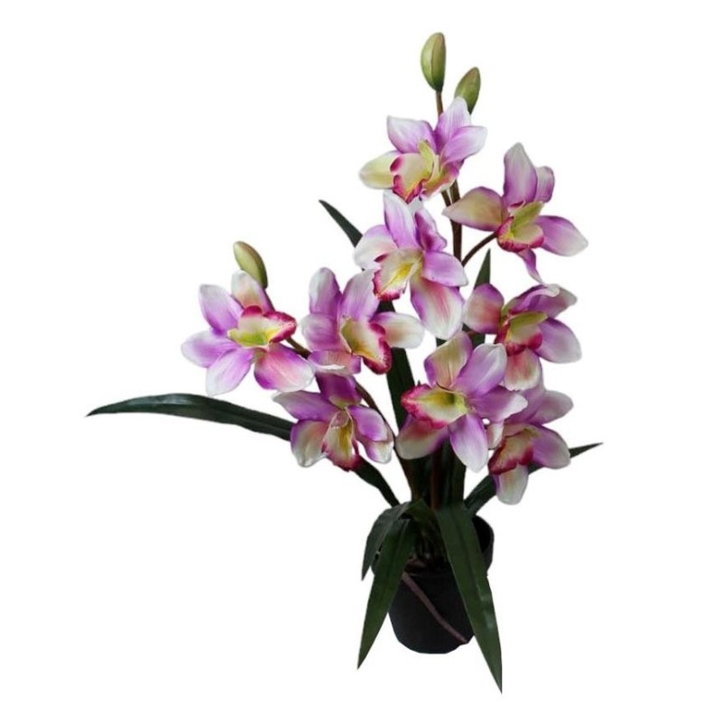 Maceta Orquideas - 57 cm