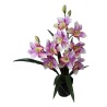 Orchid Pot - 57 cm