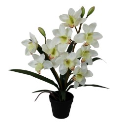 Maceta Orquideas - 57 cm