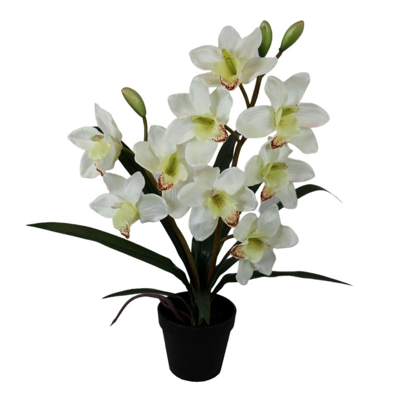 Orchid Pot - 57 cm