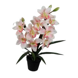 Orchid Pot - 57 cm