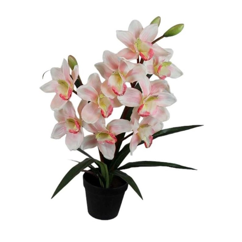 Maceta Orquideas - 57 cm