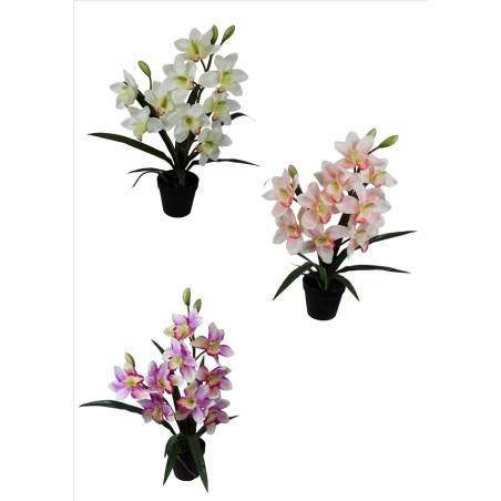 Orchid Pot - 57 cm