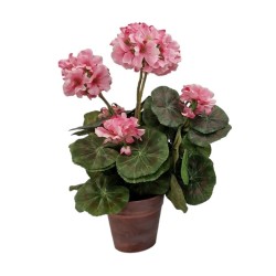 Geranium Pot - 37 cm