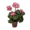 Geranium Pot - 37 cm