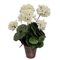 Geranium Pot - 37 cm