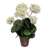 Geranium Pot - 37 cm