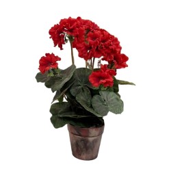 Geranium Pot - 37 cm