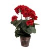 Geranium Pot - 37 cm