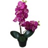 Orchid Pot - 48 cm