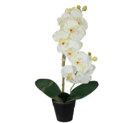 Orchid Pot - 48 cm