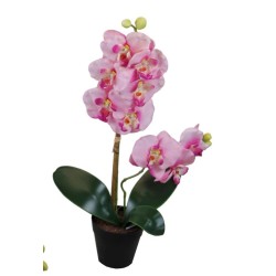 Maceta de Orquídeas - 48 cm