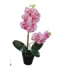 Orchid Pot - 48 cm