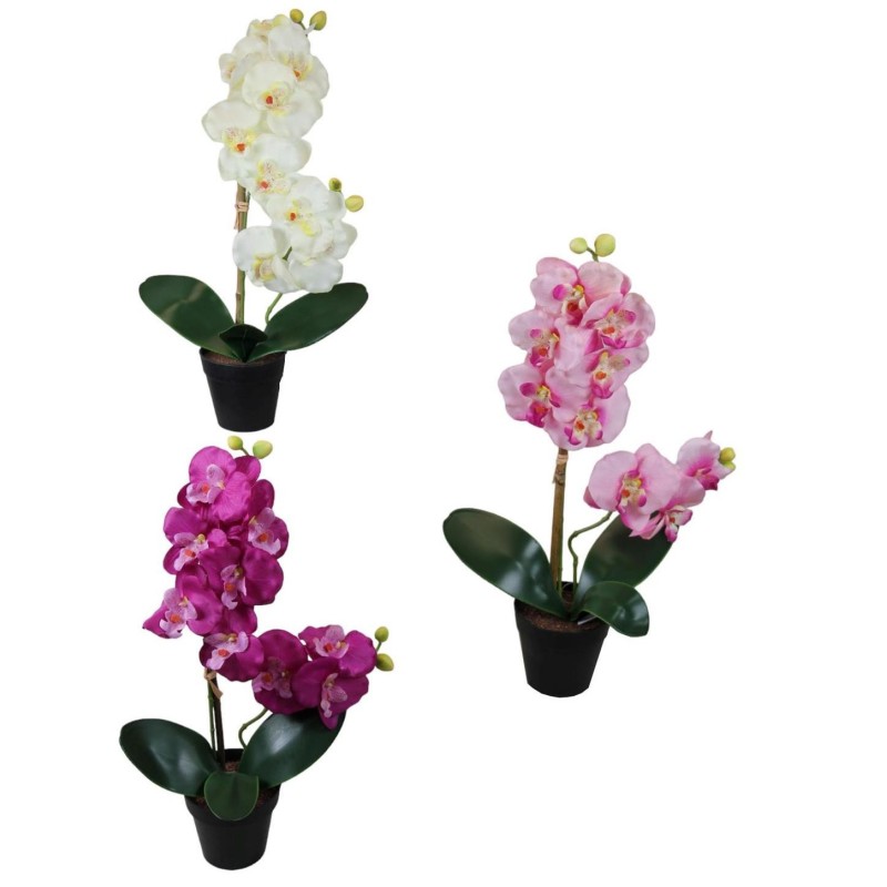 Orchid Pot - 48 cm