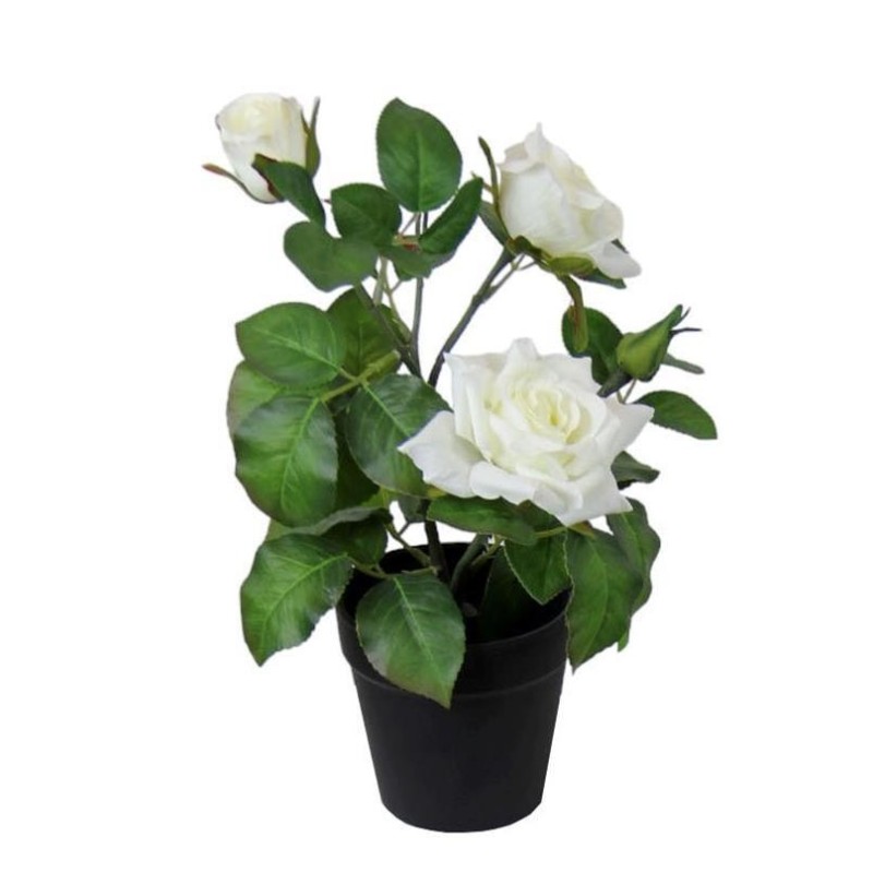 Pitimini Rose Pot - 30 cm