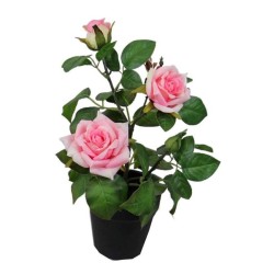 Pitimini Rose Pot - 30 cm