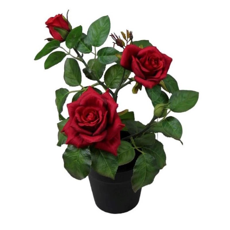 Pitimini Rose Pot - 30 cm