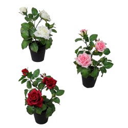 Pitimini Rose Pot - 30 cm