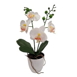 Orchid Pot x 2 with Planter - 45 cm