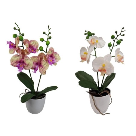 Maceta Orquídeas x 2 con Macetero - 45 cm